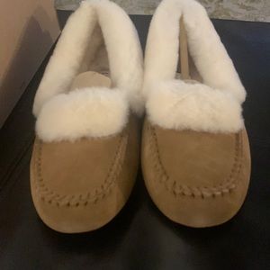UGG moccasins. BRAND NEW. NEVER WORN. Size 8. Brown color.